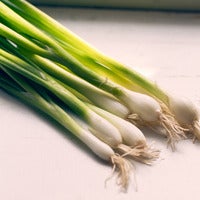 Beauty 20  20scallions 0863 thumb