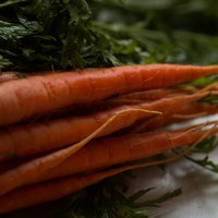 Beauty 20  20carrots 20  208345 thumb