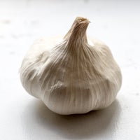 Beauty 20  20garlic 20regular 2429 thumb